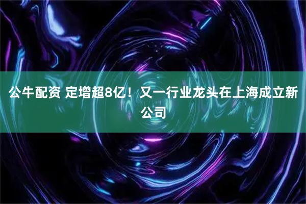 公牛配资 定增超8亿！又一行业龙头在上海成立新公司