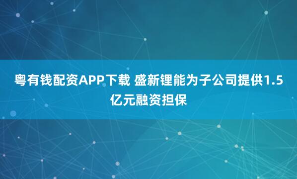 粤有钱配资APP下载 盛新锂能为子公司提供1.5亿元融资担保