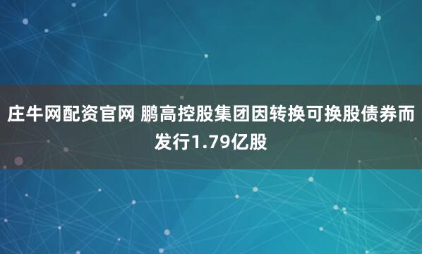 庄牛网配资官网 鹏高控股集团因转换可换股债券而发行1.79亿股