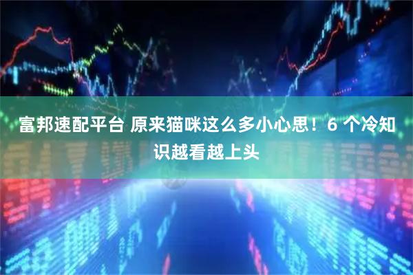 富邦速配平台 原来猫咪这么多小心思！6 个冷知识越看越上头