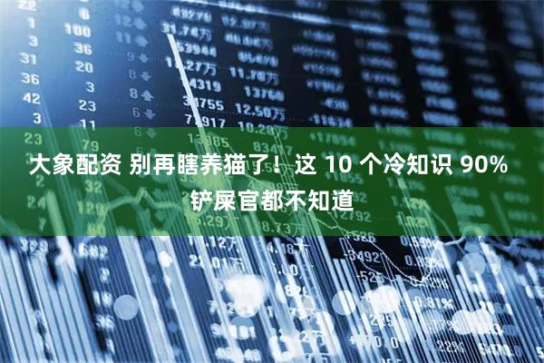 大象配资 别再瞎养猫了！这 10 个冷知识 90% 铲屎官都不知道