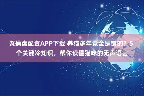 聚操盘配资APP下载 养猫多年竟全是错的？5 个关键冷知识，帮你读懂猫咪的无声语言